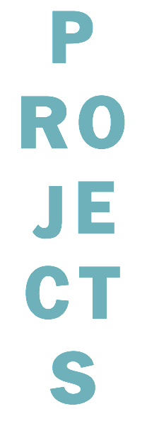 P ROJECTS 